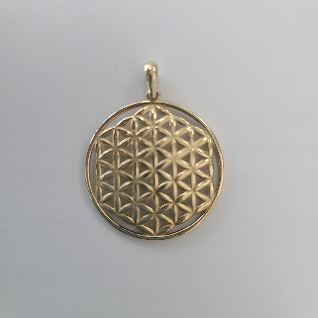 DIJES ORO 14K 2.3 (NUEVO)