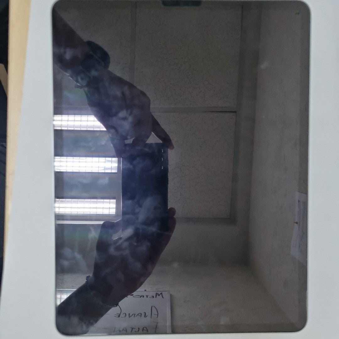 TABLETA APPLE IPAD PRO 6 12.9" A2436 (SEMINUEVO)