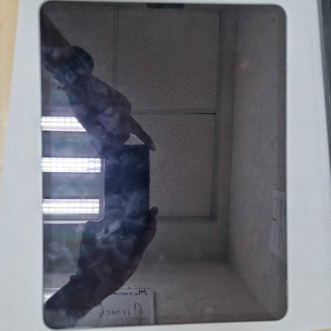 TABLETA APPLE IPAD PRO 6 12.9" A2436 (SEMINUEVO)