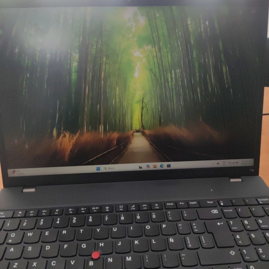 LAPTOP LENOVO THINKPAD T16 GEN 1 (2024) 1 TB SSD 16 GB RAM (SEMINUEVO)
