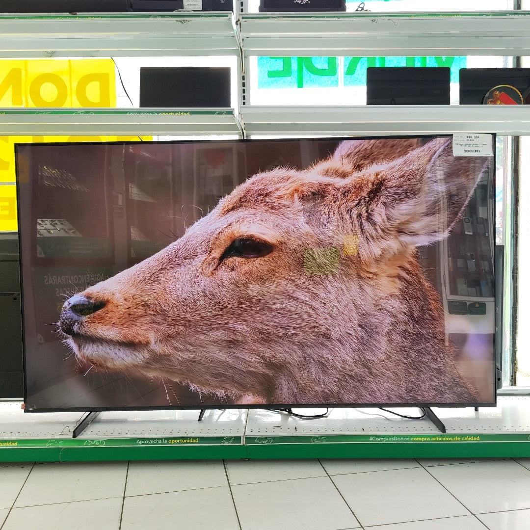 PANTALLA SAMSUNG BE75D-H (2024) 75" LED UHD 4K (SEMINUEVO)