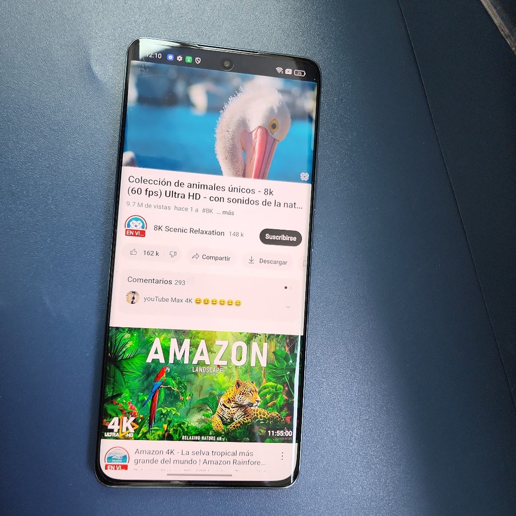 CELULAR OPPO  RENO11 5G CPH2599 (2024) 256 GB 8 GB RAM (SEMINUEVO)