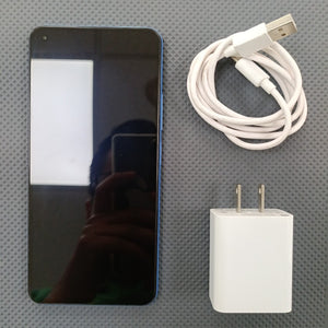 Descriptive image text