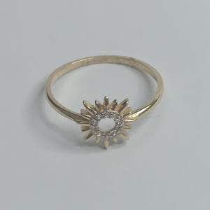 Descriptive image text