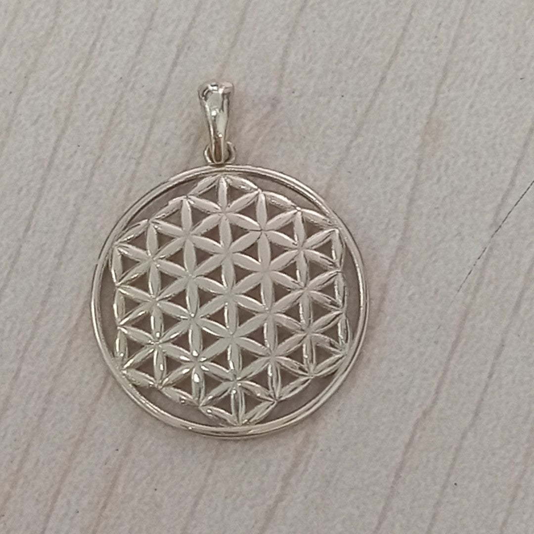 DIJES ORO 14K 1.6 (NUEVO)