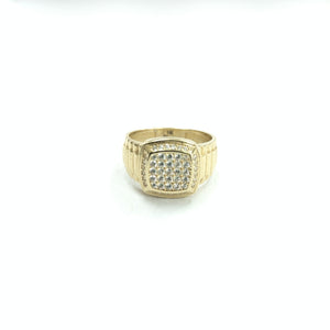 Descriptive image text