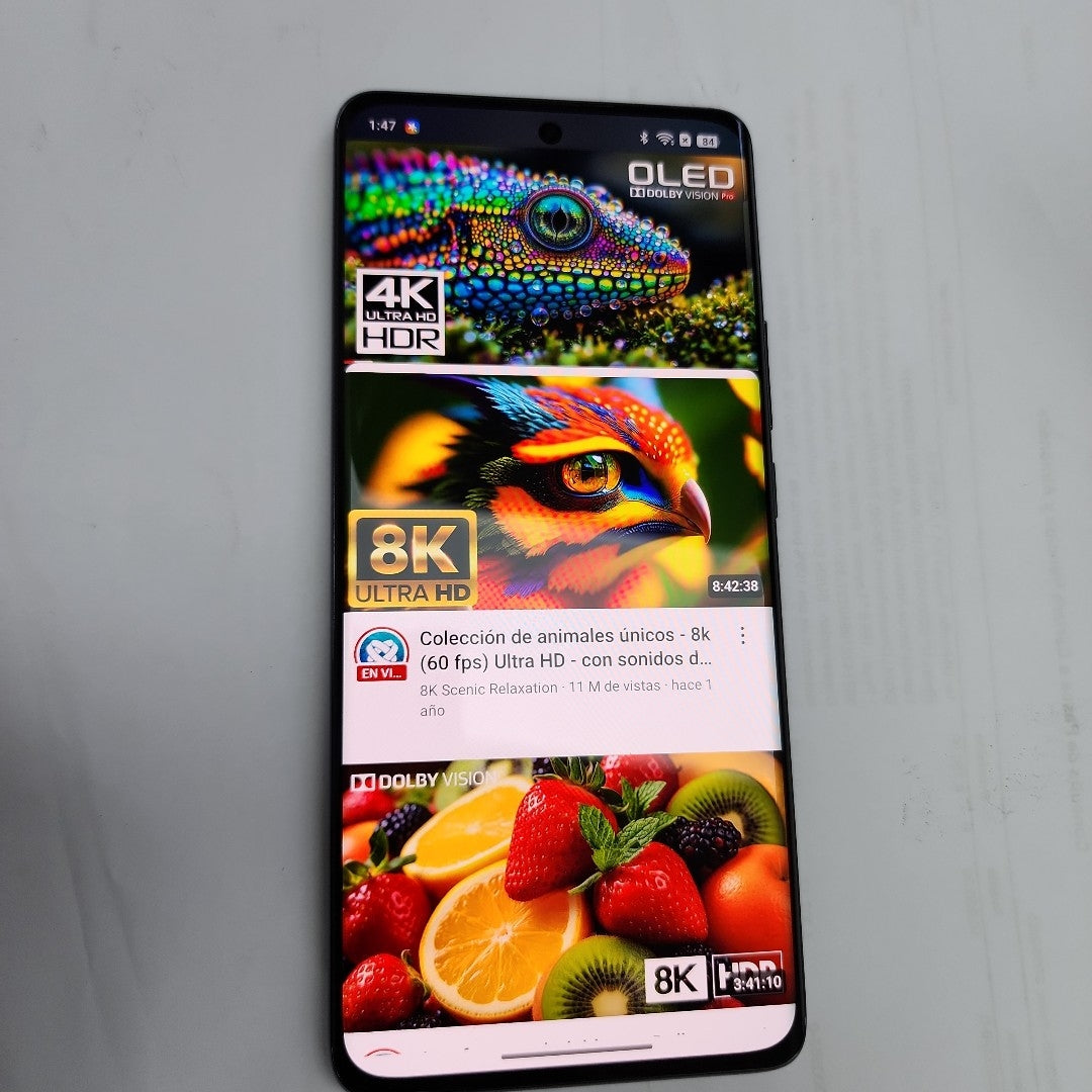 CELULAR OPPO  RENO11 5G CPH2599 (2024) 256 GB 8 GB RAM (SEMINUEVO)