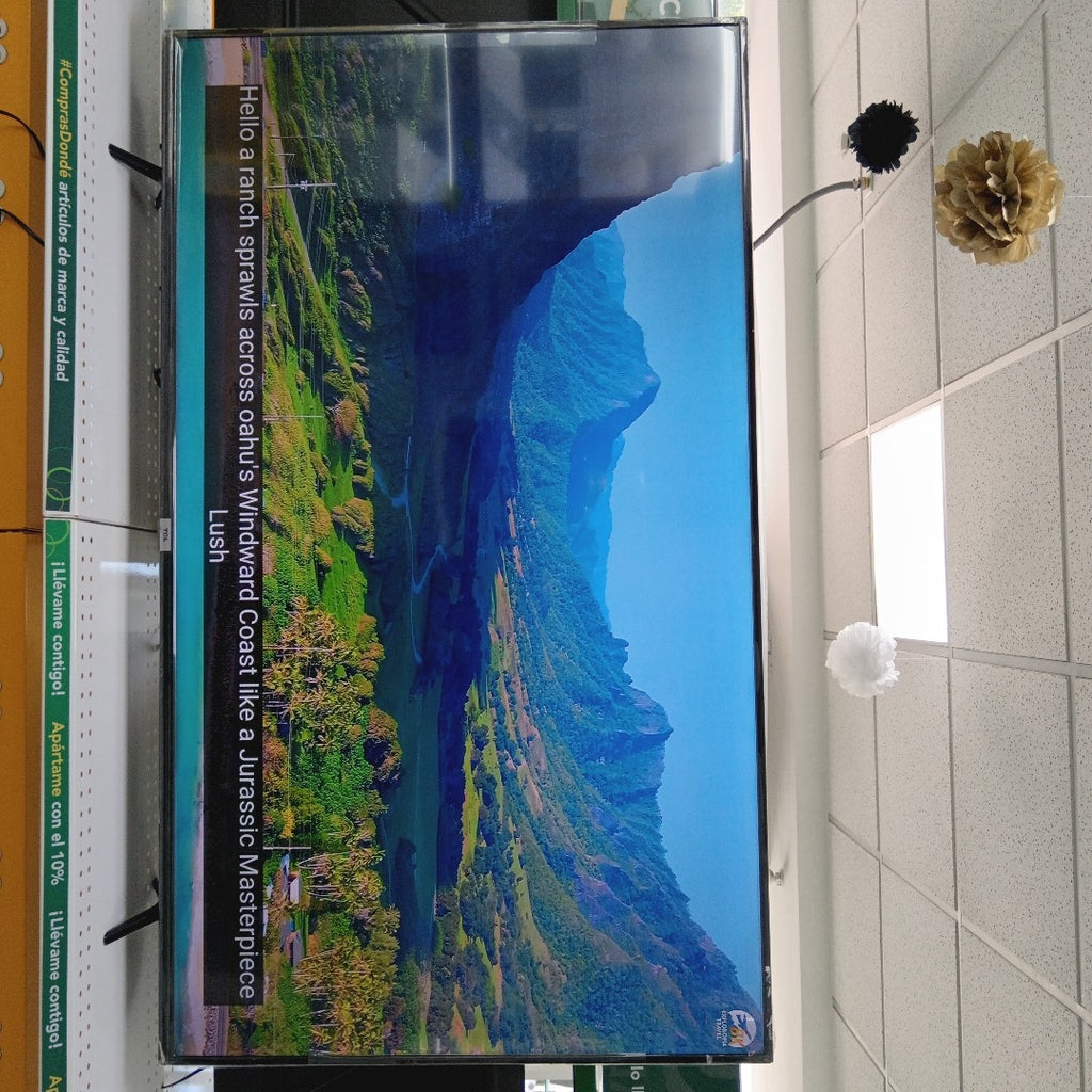 PANTALLA TCL 65A443 (2021) 65" LED 4K (SEMINUEVO)