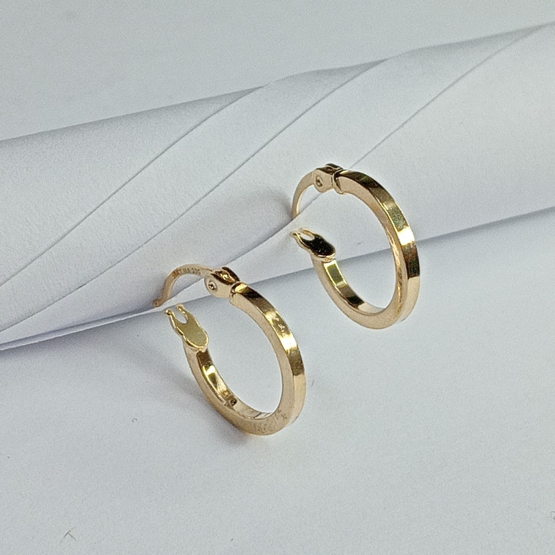 ARRACADAS ORO 14K 1 (NUEVO)