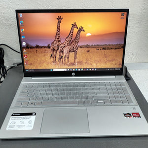 Descriptive image text