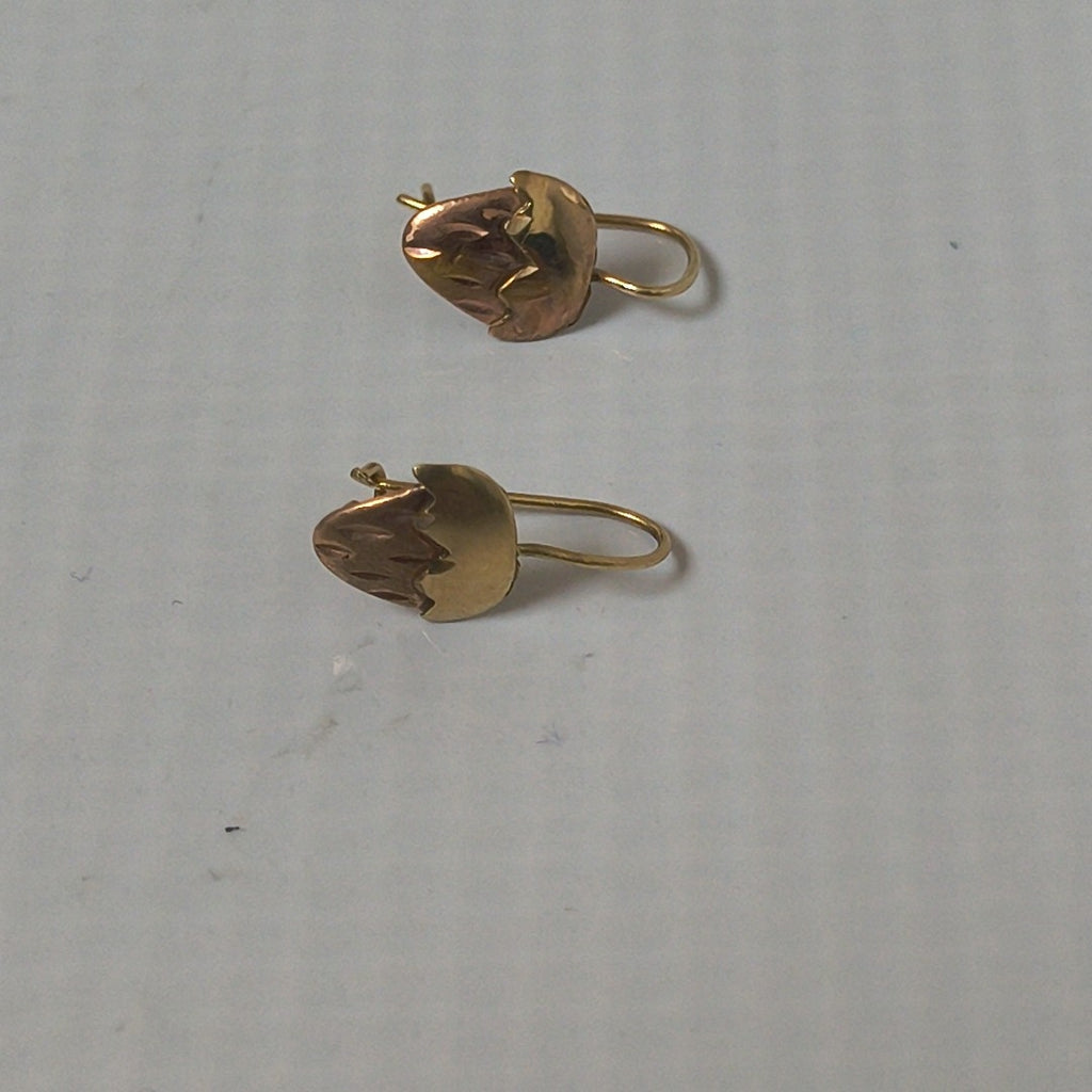ARETES PAR ORO 10 K 1,00 GRMS (SEMINUEVO)