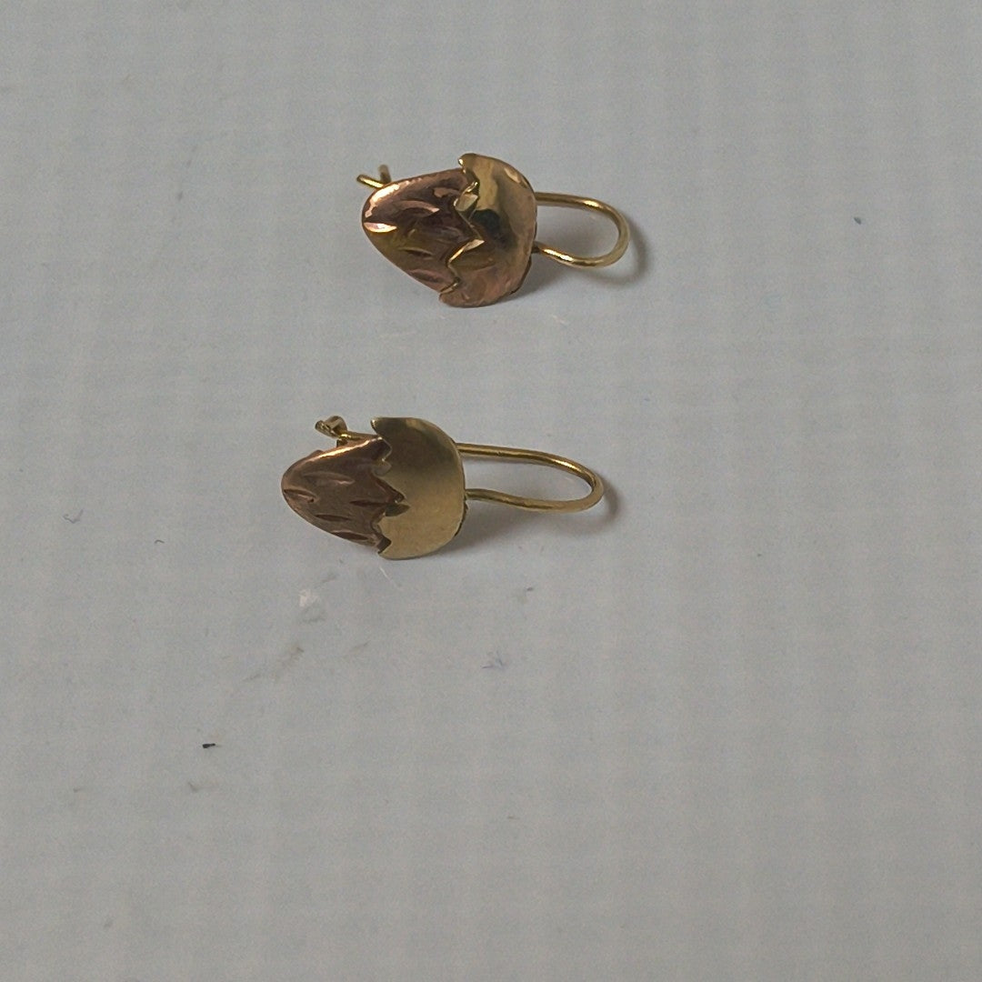 ARETES PAR ORO 10 K 1,00 GRMS (SEMINUEVO)