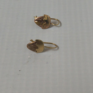 ARETES PAR ORO 10 K 1,00 GRMS (SEMINUEVO)