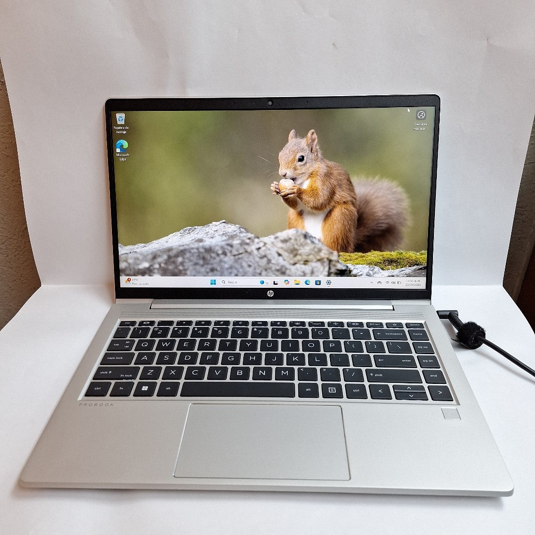 LAPTOP HP PROBOOK 445 G8 (2022) 512 GB SSD 16 GB RAM (SEMINUEVO)