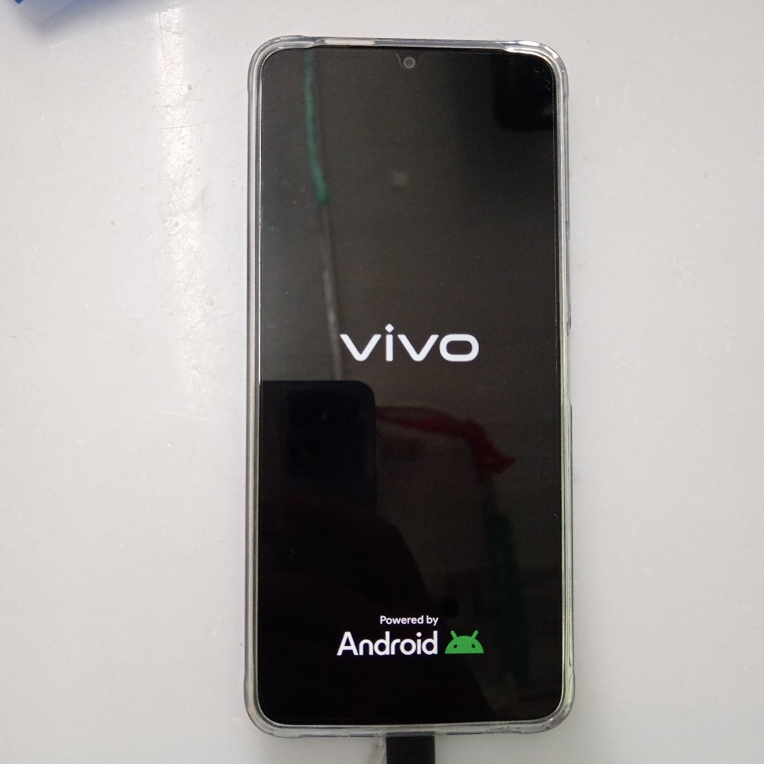 CELULAR VIVO Y04 V2430 (2025) 256 GB 4 GB RAM (SEMINUEVO)