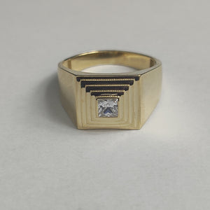 Descriptive image text