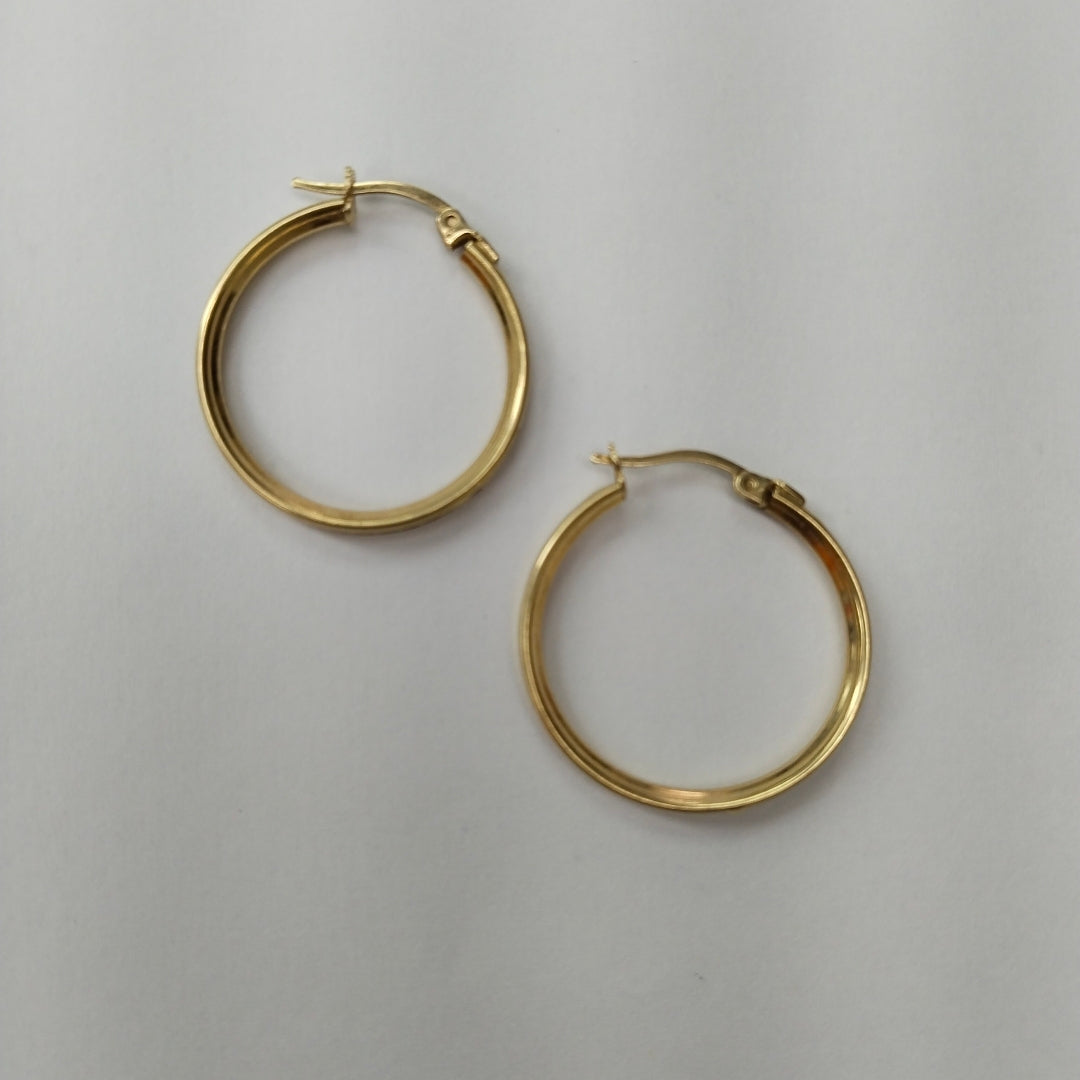 ARRACADAS PAR. ORO. 10 K 2.2 GRMS (SEMINUEVO)