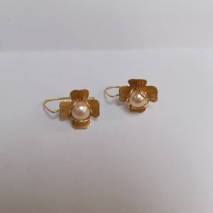 ARETES PAR. ORO. 14 K 4.6 GRMS (SEMINUEVO)