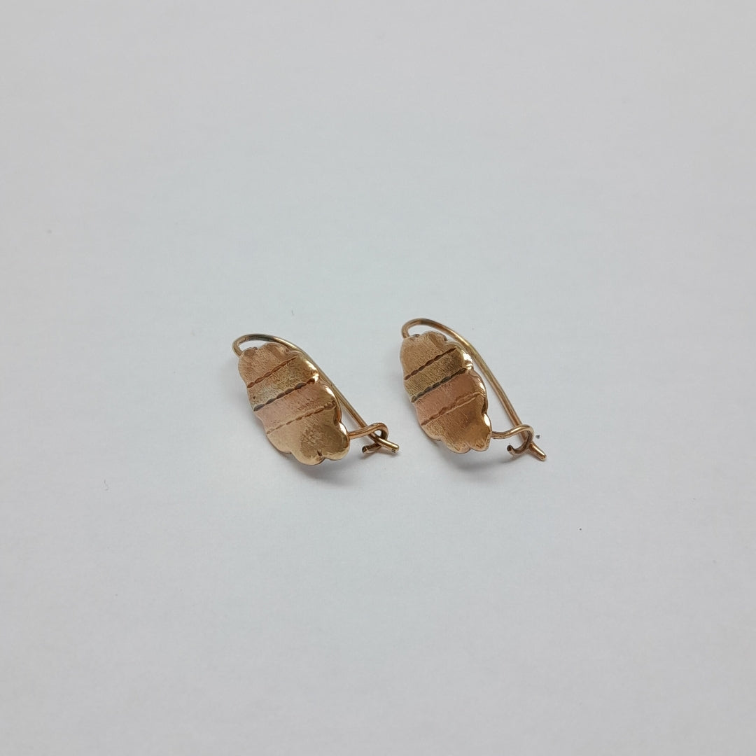 ARETES PAR. ORO. 8 K 1 GRMS (SEMINUEVO)