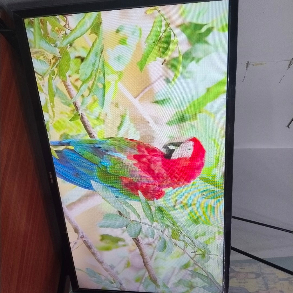 PANTALLA SAMSUNG UN32J4290AF (2019) 32" LED HD (SEMINUEVO)