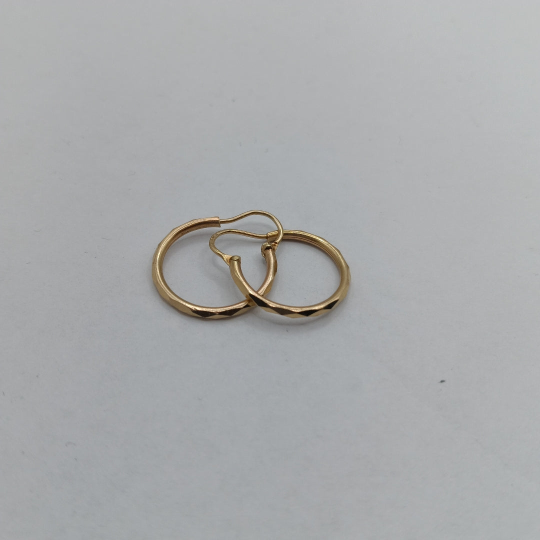 ARETES PAR. ORO. 10 K 1.3 GRMS (SEMINUEVO)