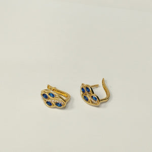 Descriptive image text