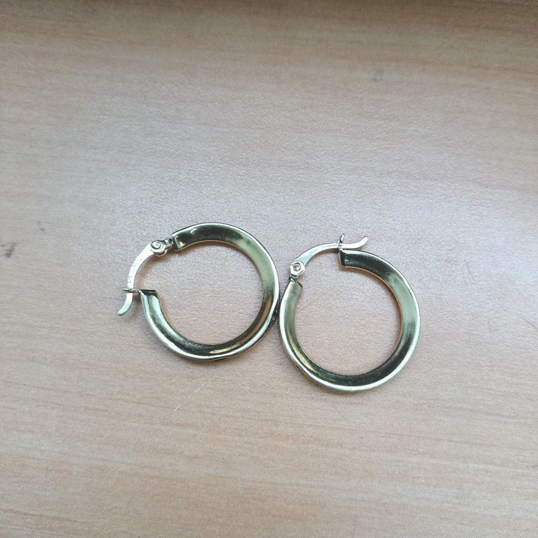 ARETES PAR. ORO. 10 K 5.3 GRMS (SEMINUEVO)