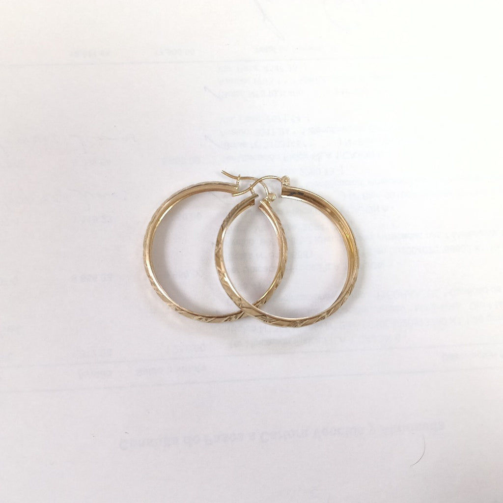 ARRACADAS PAR. ORO. 10 K GRMS (SEMINUEVO)