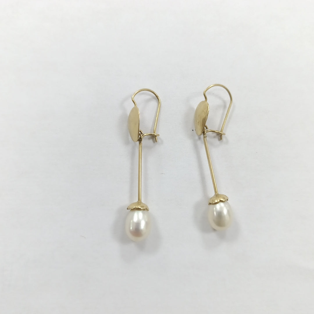 ARETES PAR. ORO. 10 K 2 GRMS (SEMINUEVO)