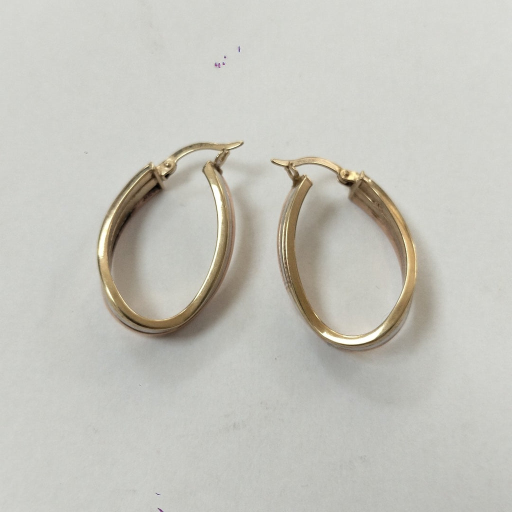 ARETES PAR. ORO. 10 K 3.1 GRMS (SEMINUEVO)