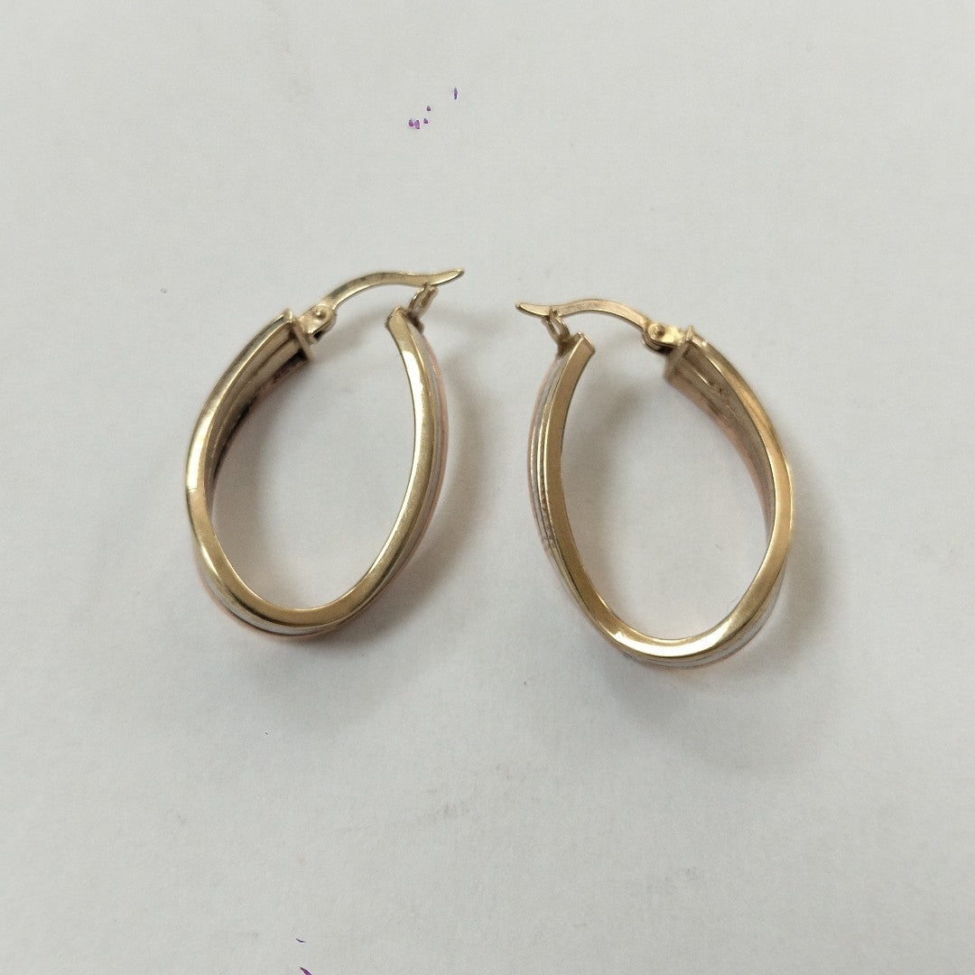 ARETES PAR. ORO. 10 K 3.1 GRMS (SEMINUEVO)