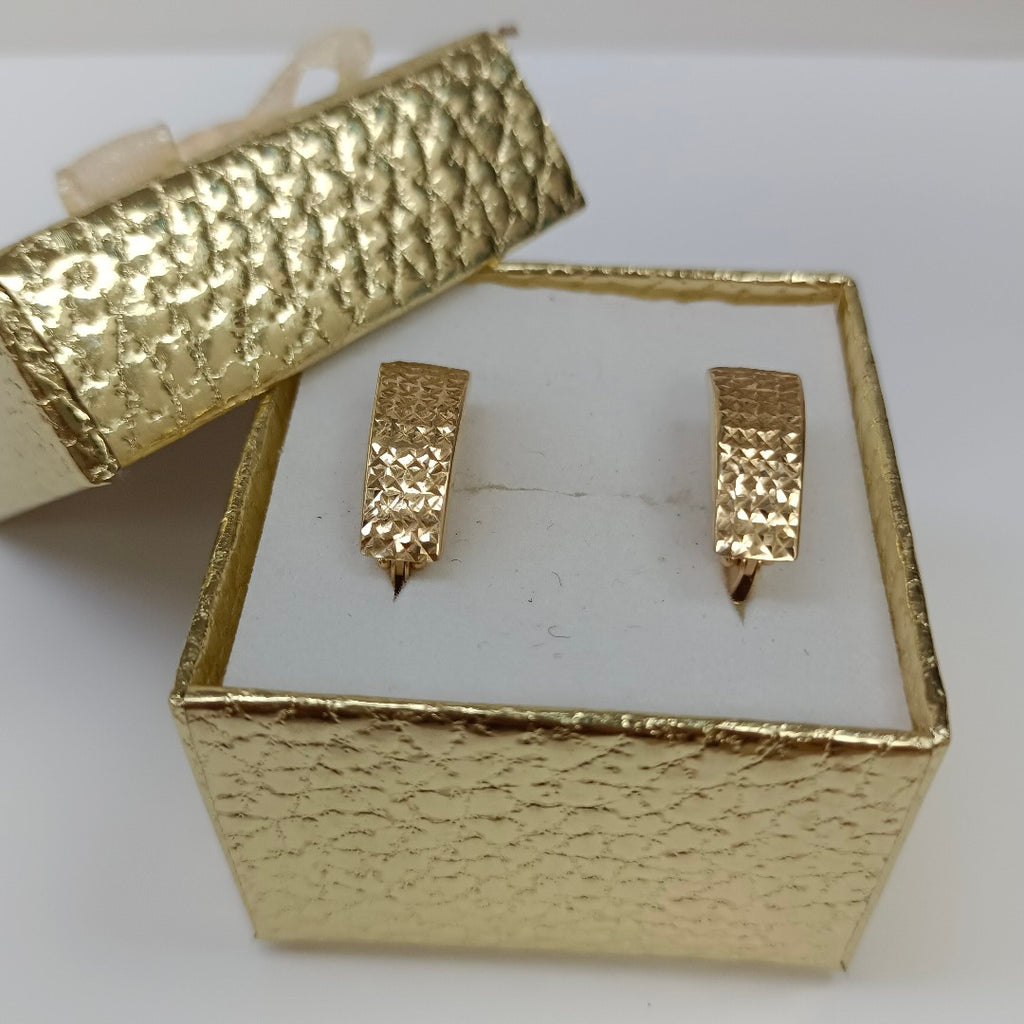 ARETES PAR. ORO. 14 K 1.8 GRMS (SEMINUEVO)