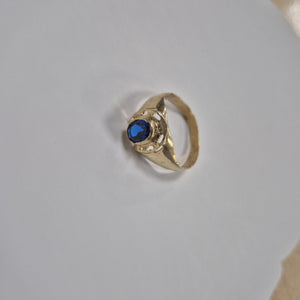 Descriptive image text