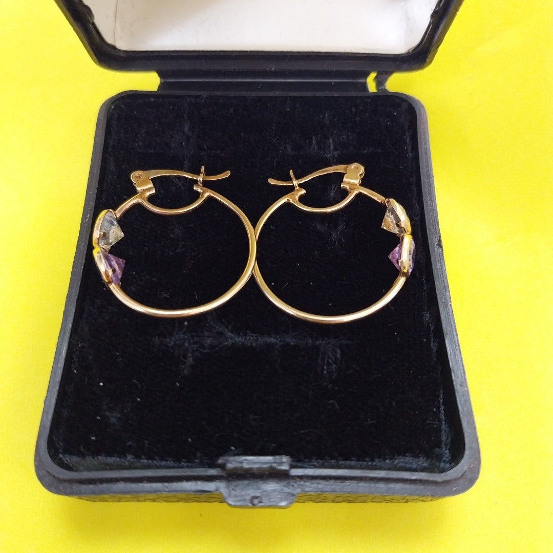 ARETES PAR. ORO. 10 K 3.1 GRMS (SEMINUEVO)