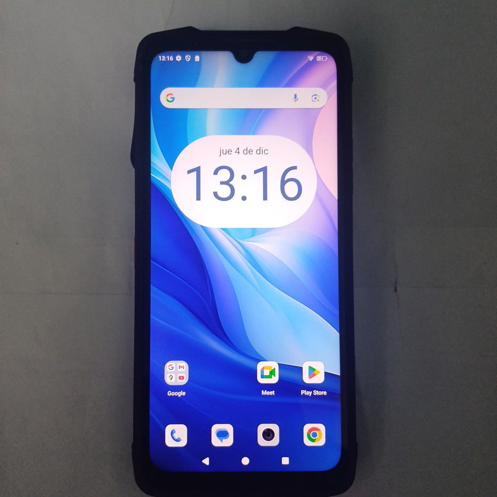 CELULAR OTRAS MARCAS OTROS MODELOS 256 GB 12 GB RAM (SEMINUEVO)