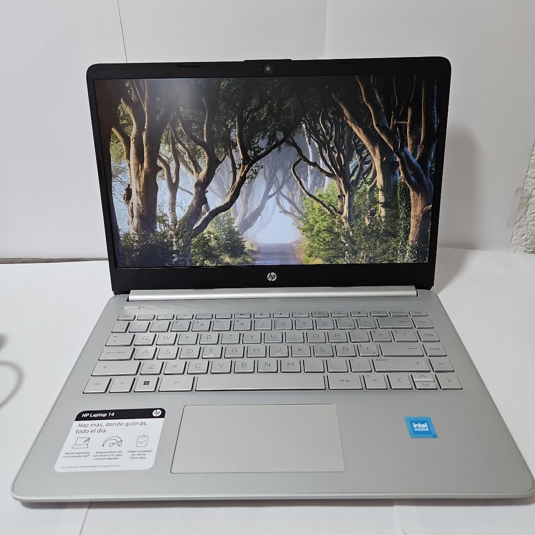 LAPTOP HP 14-DQ0532LA (2024) 128 GB SSD 4 GB RAM (SEMINUEVO)