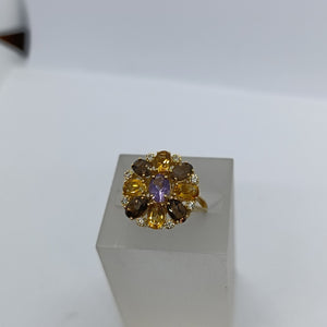 Descriptive image text