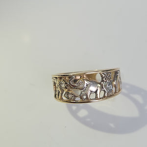 Descriptive image text