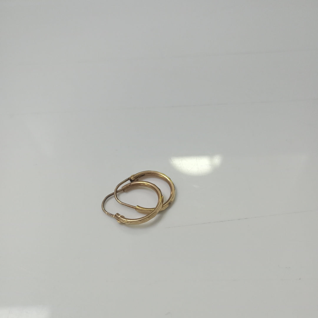 ARETES PAR ORO 10 K 0.8 GRMS (SEMINUEVO)