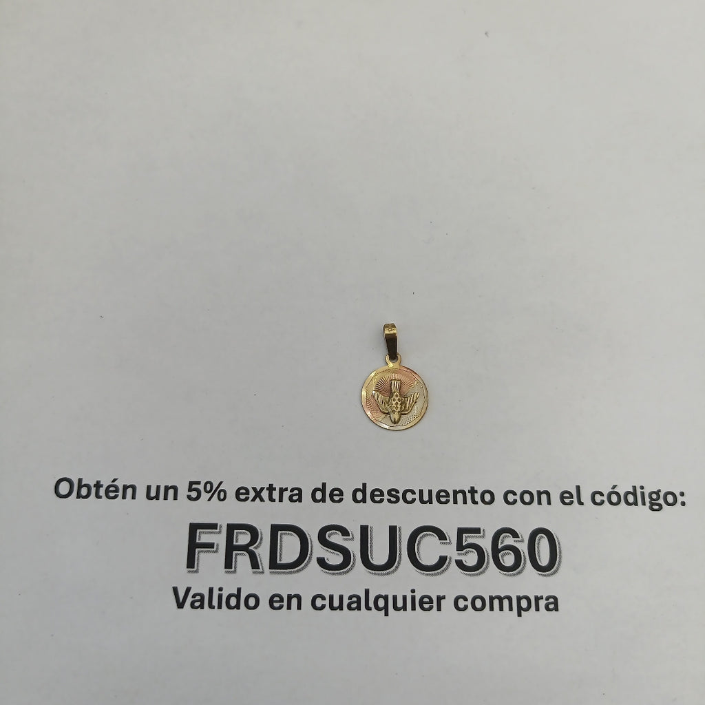 K1 0,90 GRMS 10 K ESPECIFICACIONES COMPLEMENTARIAS MEDALLA DEL ESPIRITU SANTO (SEMINUEVO)