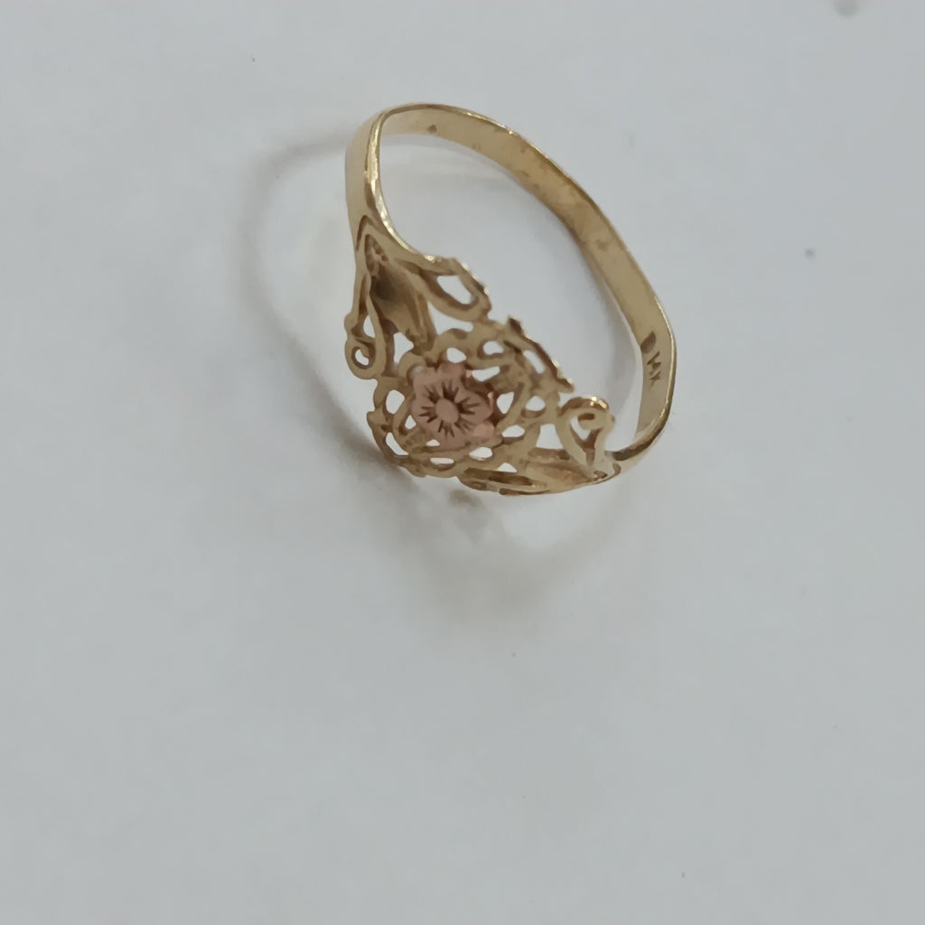 K1 1,00 GRMS 14 K ESPECIFICACIONES COMPLEMENTARIAS ANILLITO (SEMINUEVO)