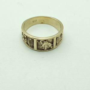 Descriptive image text