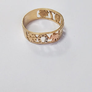 Descriptive image text