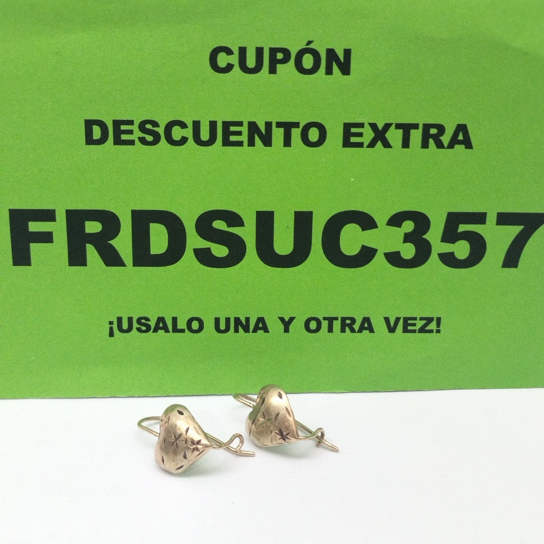 ARETES PAR ORO 10 K 2 GRMS (SEMINUEVO)