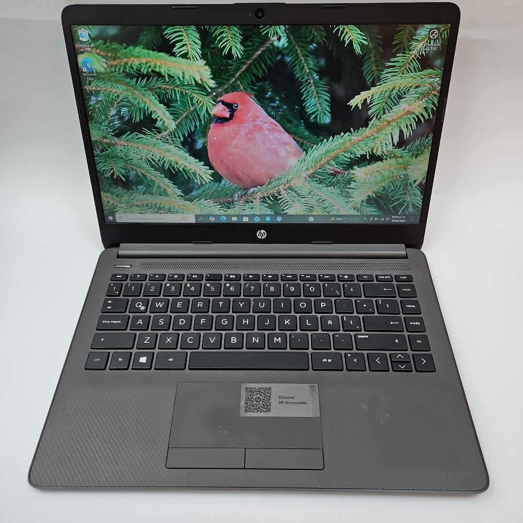 LAPTOP HP 245 G8 (2022) 1 TB 8 GB RAM