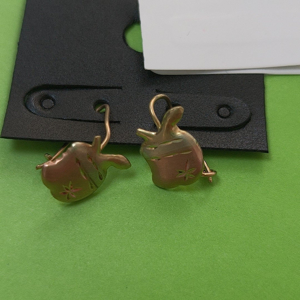 ARETES PAR ORO 10 K 0.9 GRMS (SEMINUEVO)