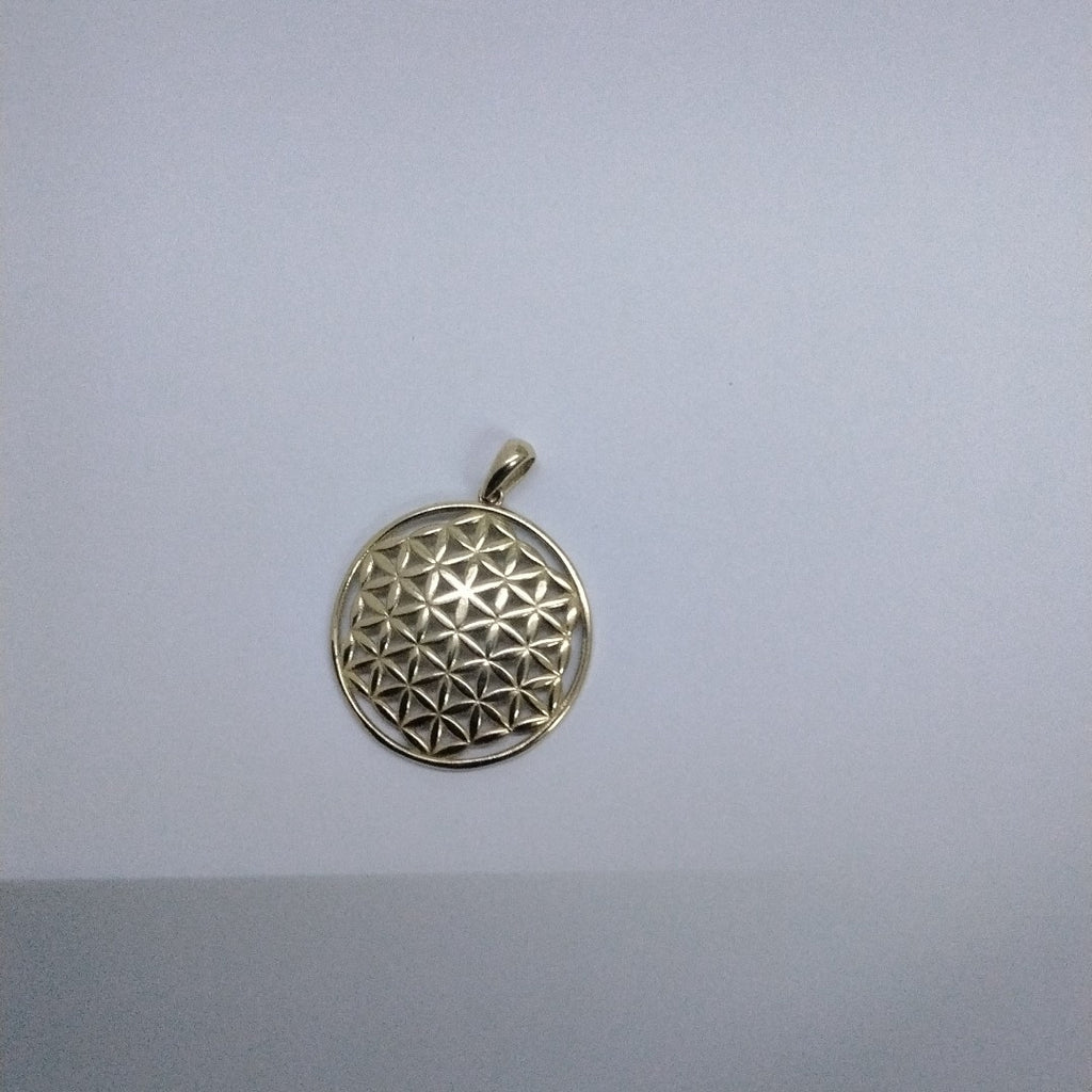 DIJES ORO 14K 2.1 (NUEVO)