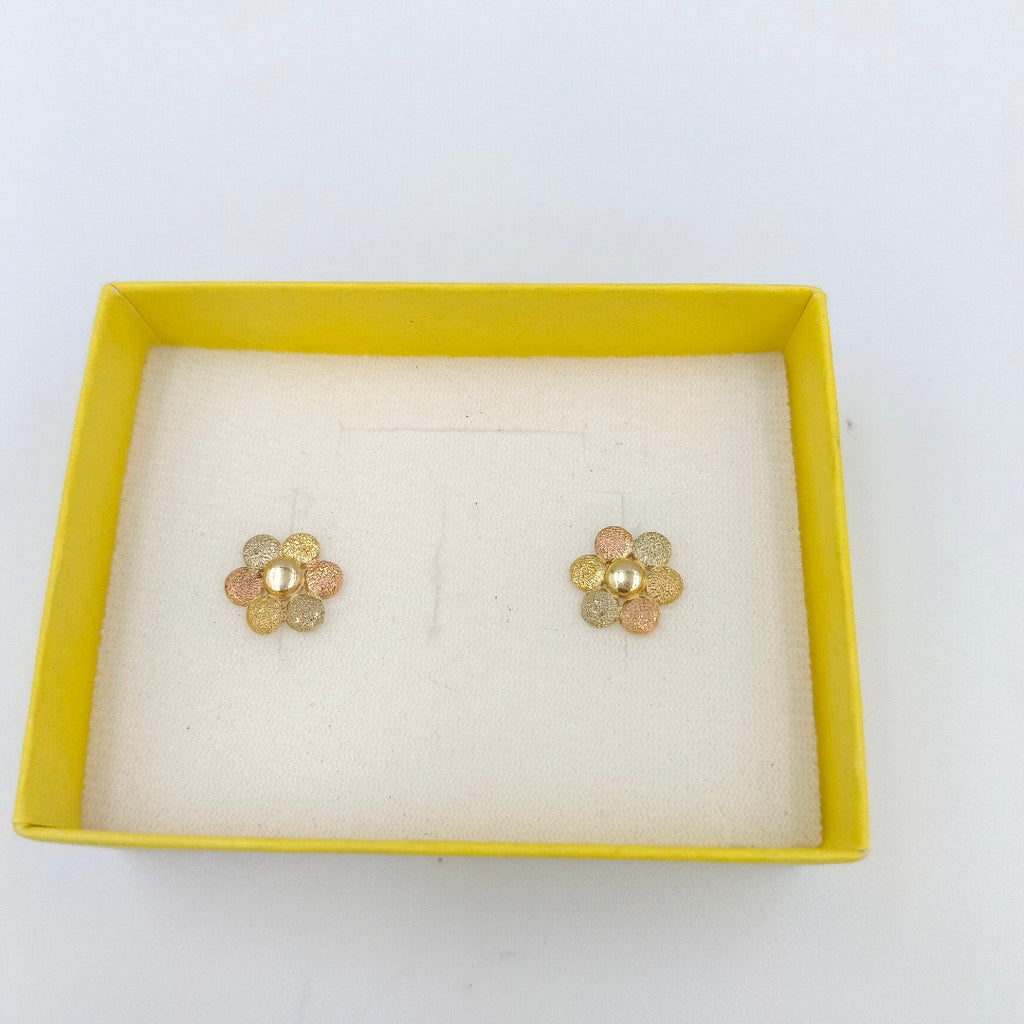 ARETES PAR ORO 10 K 2.4 GRMS (SEMINUEVO)