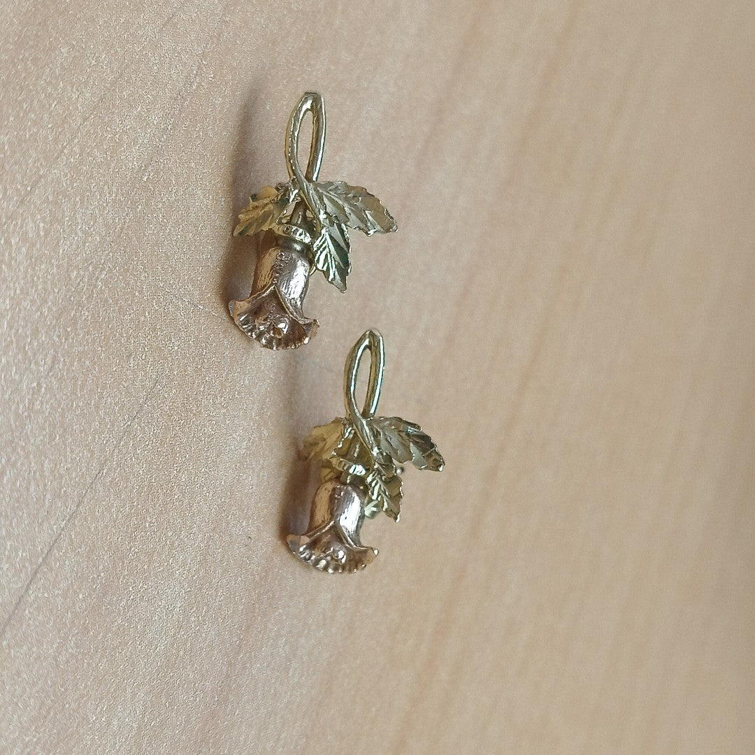 ARETES PAR ORO 14 K 2.1 GRMS (SEMINUEVO)