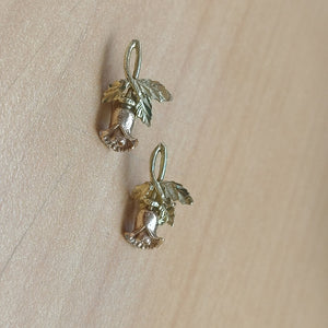 ARETES PAR ORO 14 K 2.1 GRMS (SEMINUEVO)